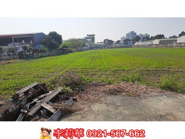 新市農地-5