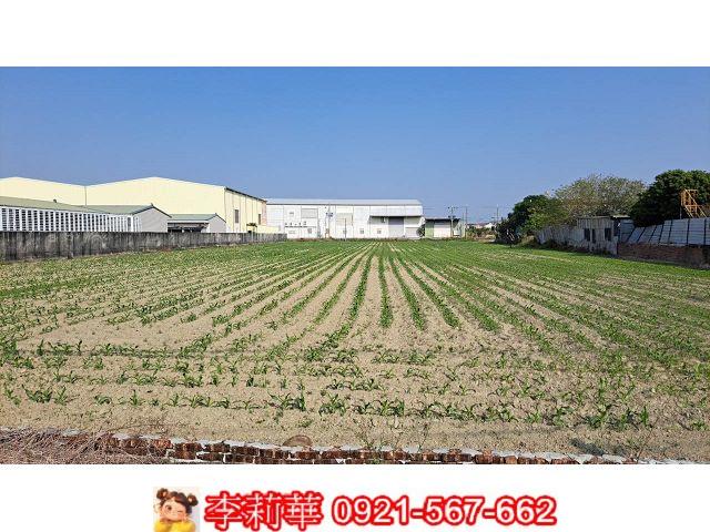 新市農地-7