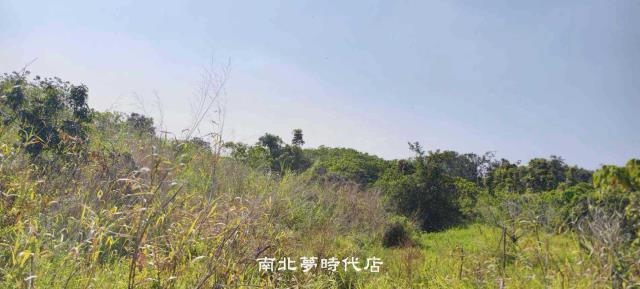 台南農地-2