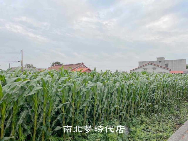 台南建地-2