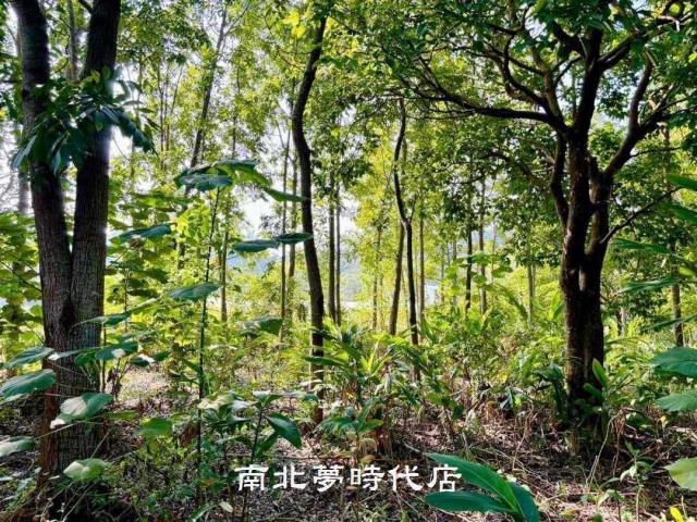 台南南化農地-7