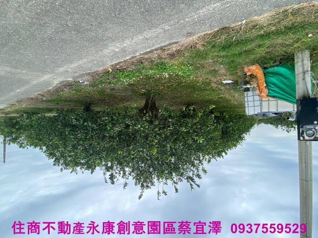 台南麻豆農地-3