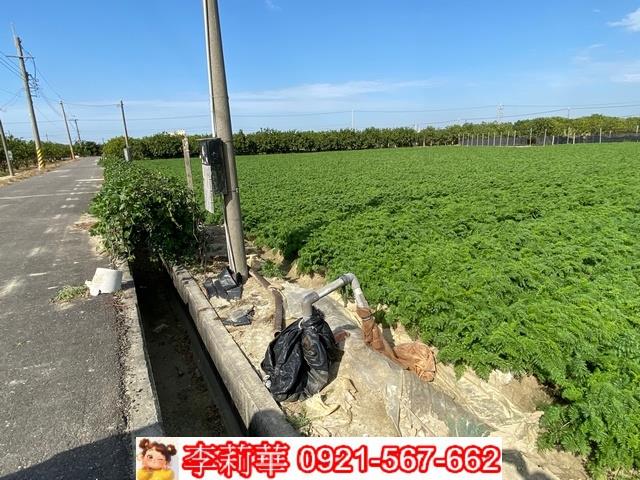 台南麻豆農地-3