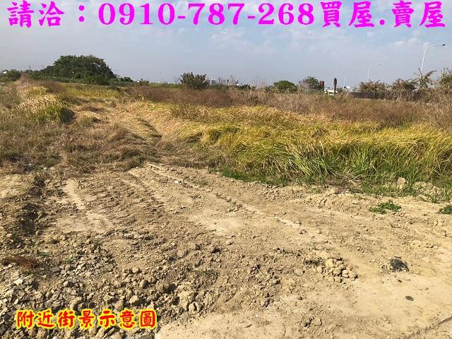 台南善化農地-9