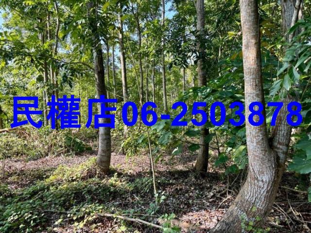 台南南化農地-9