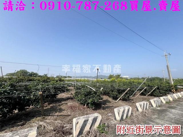 台南玉井農地-11