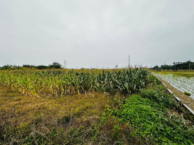 台南農地-5