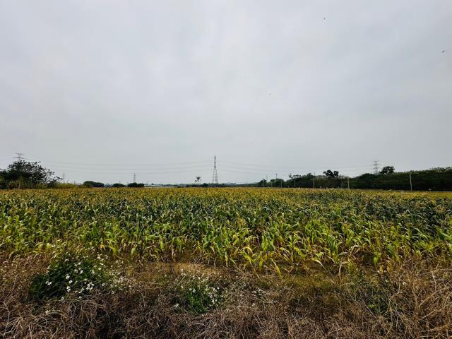 台南農地-6