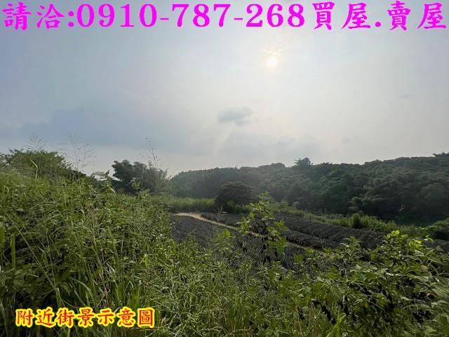 關廟農地-10