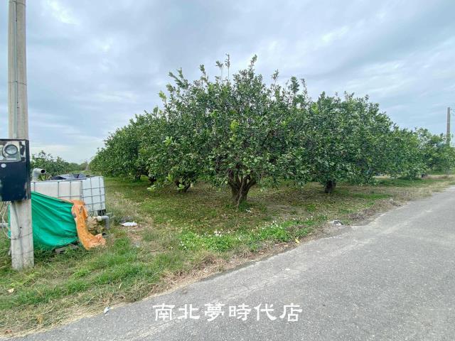 麻豆農地-3