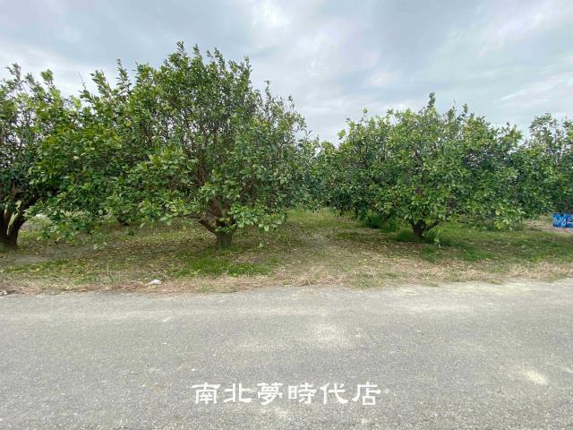 麻豆農地-4