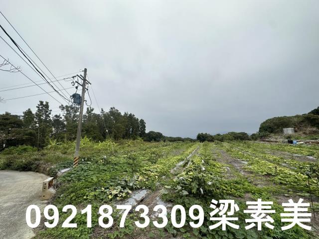 台南南化農地-7