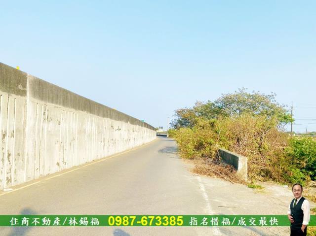台南仁德農地-10