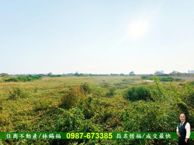 台南仁德農地-3