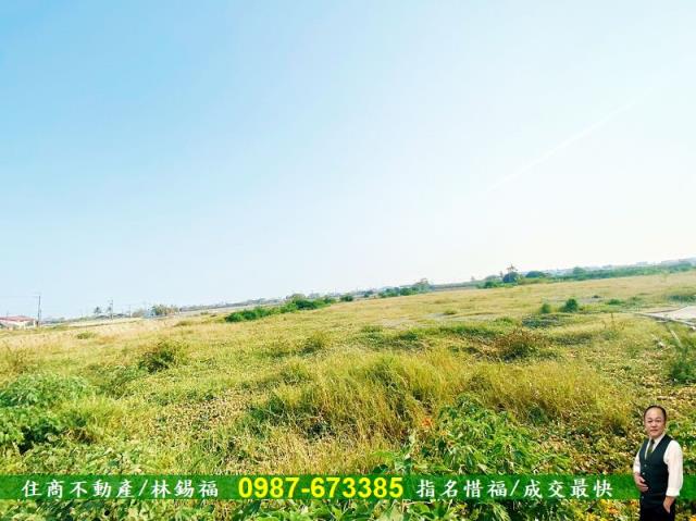 台南仁德農地-4