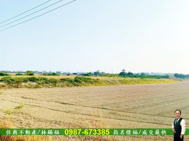 台南仁德農地-9