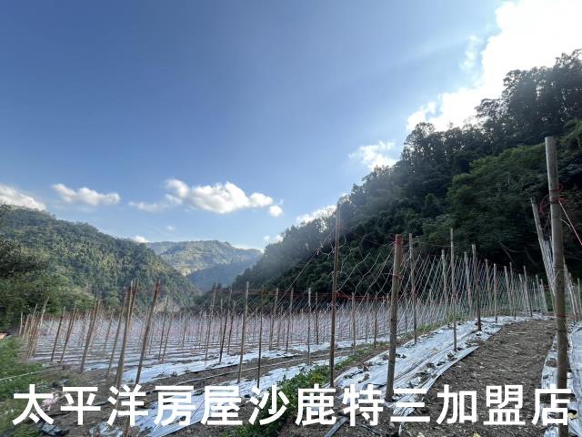 台中和平農地-2