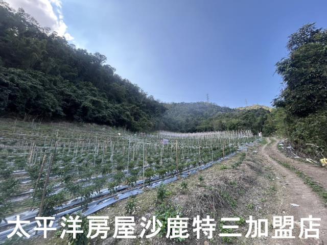 台中和平農地-3