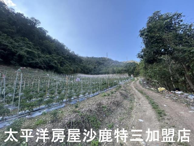 台中和平農地-4