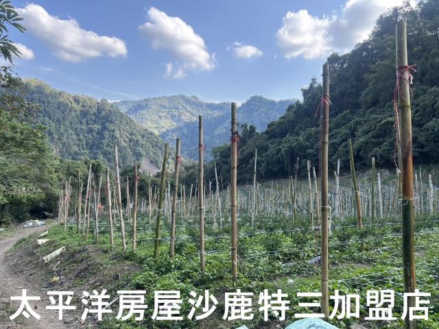 台中和平農地-5