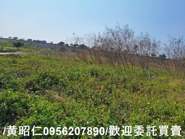 仁德農地-7
