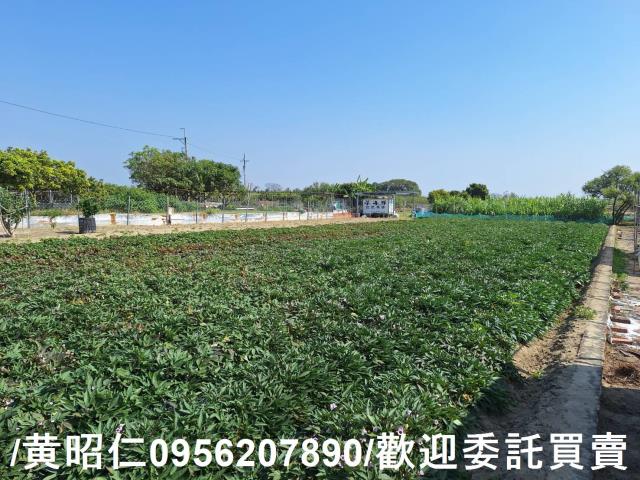仁德農地-3