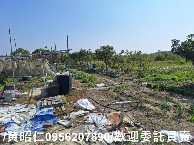 仁德農地-4