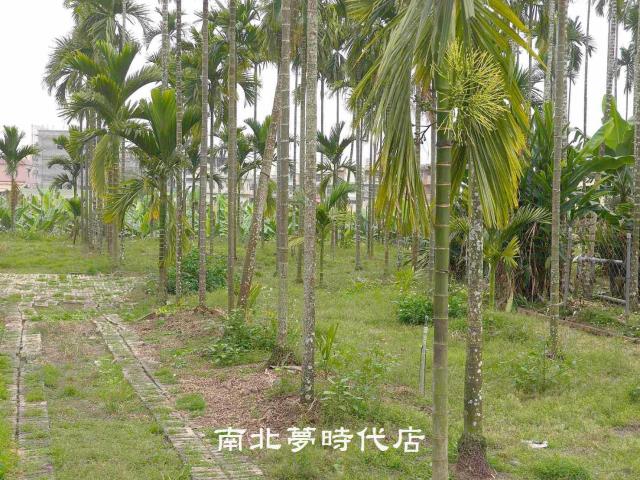屏東萬巒農地-1