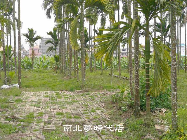 屏東萬巒農地-2