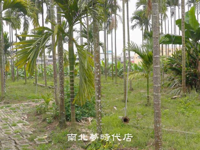 屏東萬巒農地-3