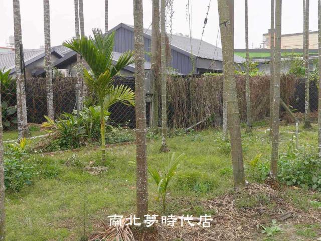 屏東萬巒農地-4