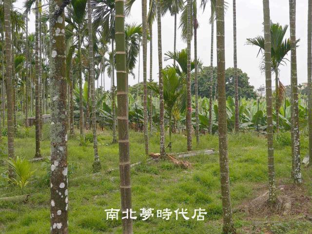 屏東萬巒農地-5
