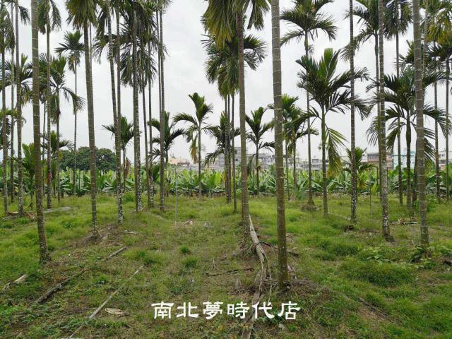 屏東萬巒農地-6