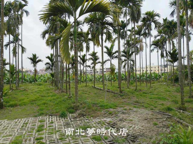 屏東萬巒農地-8