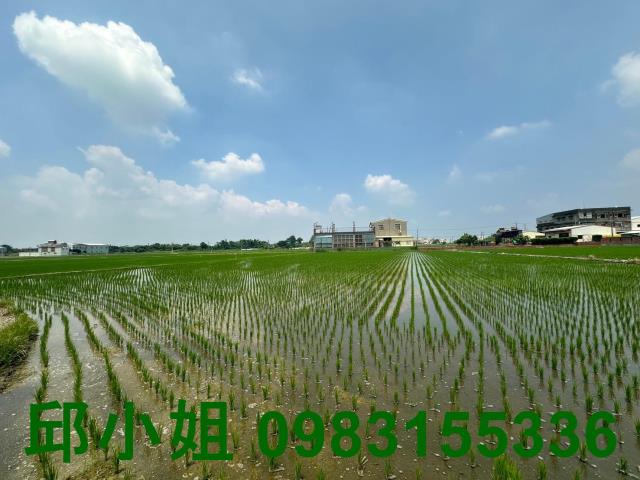東區農地-1