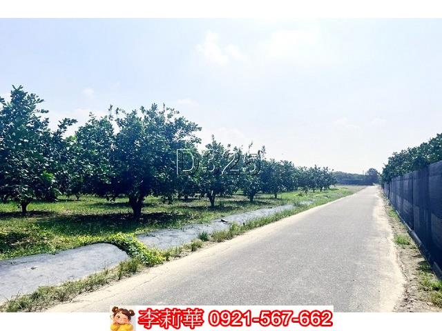 麻豆農地-6