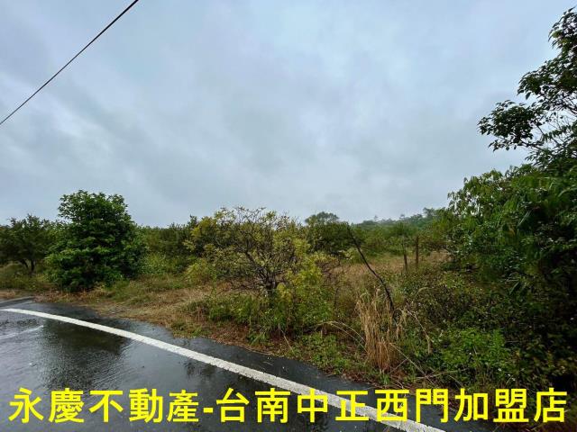 楠西農地-12
