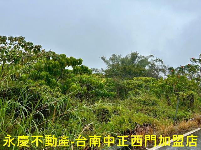 楠西農地-5