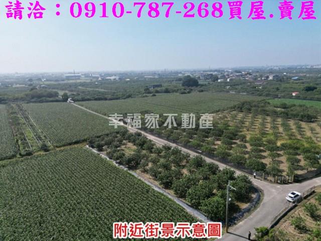 麻豆農地-11