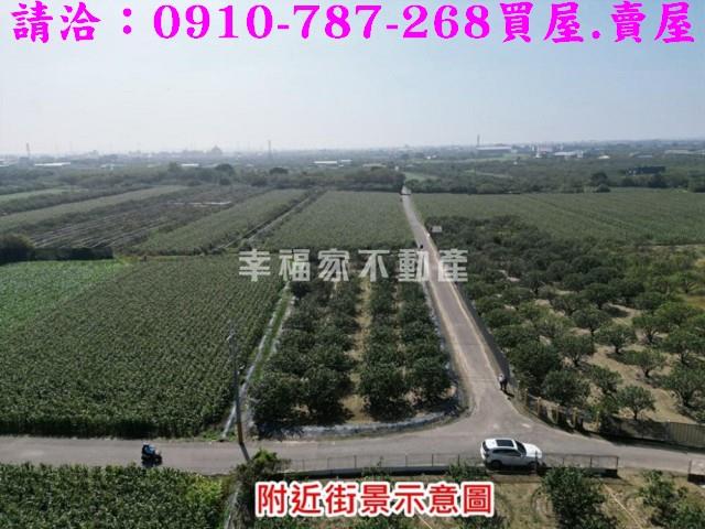 麻豆農地-12