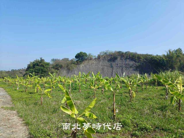 玉井農地-10