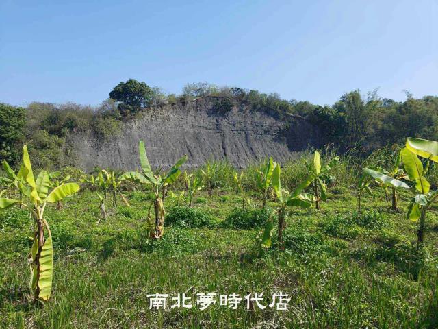 玉井農地-11