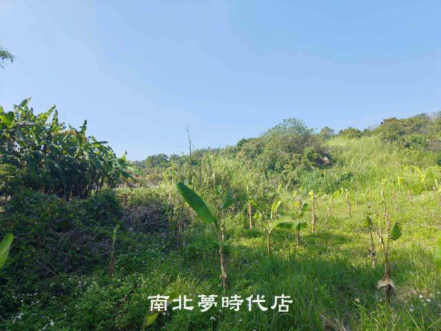 玉井農地-12