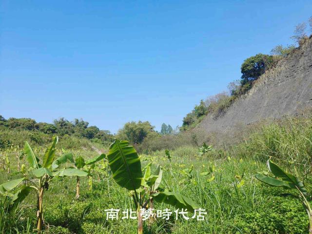 玉井農地-13