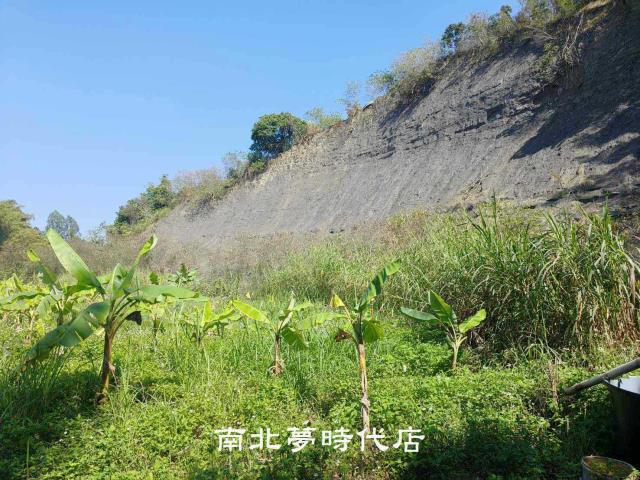 玉井農地-14