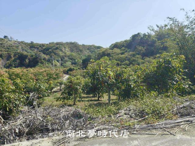 玉井農地-1