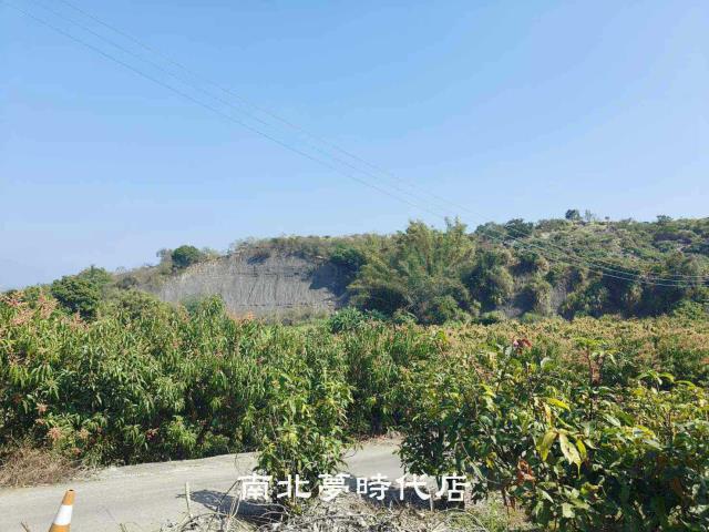 玉井農地-3