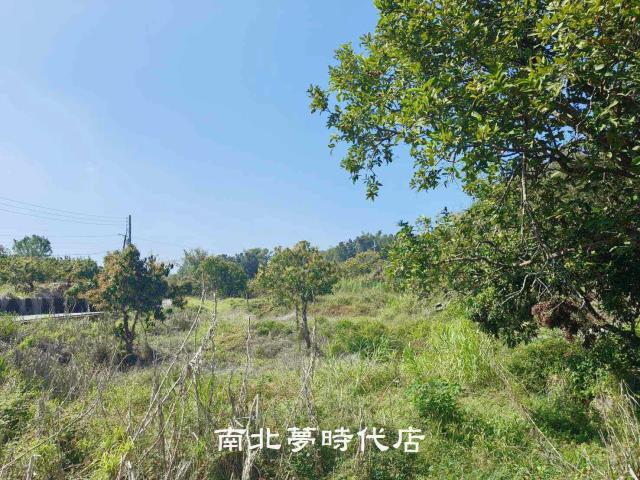 玉井農地-4