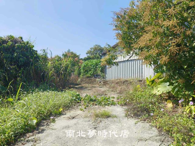 玉井農地-7