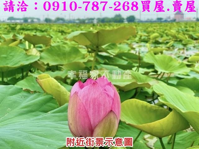 白河農地-15